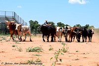 8-5-18 Perkins practice pen