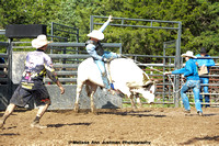 DSC_0211-1232